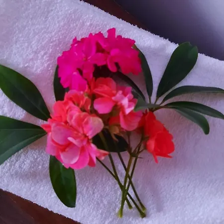 Penzion Casa Bianca-maria Eforie Nord